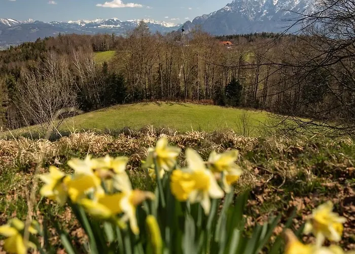 Appartement Auf Dem Hoegel In *